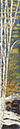 %_tempFileName180c%